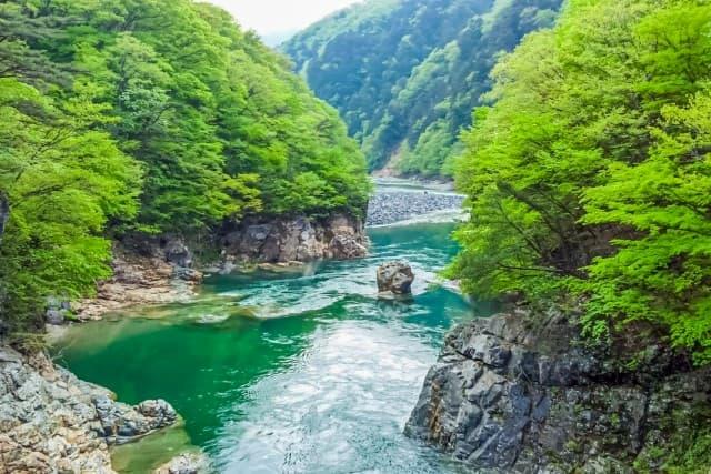 栃木県の医療事務求人の特徴とは?栃木の魅力もあわせて解説!