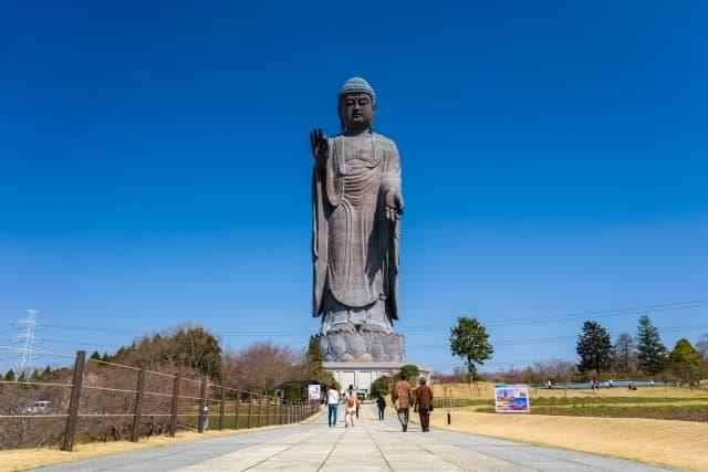 大仏でおなじみ！茨城県屈指のベットタウン牛久市の介護求人